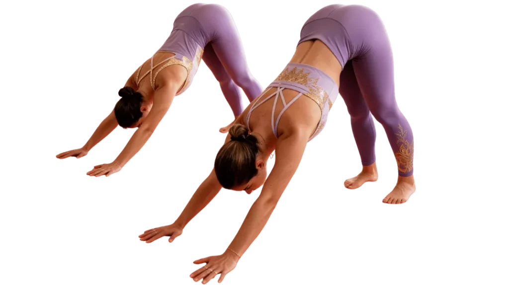 navratri-hero-hatha-yoga-v7